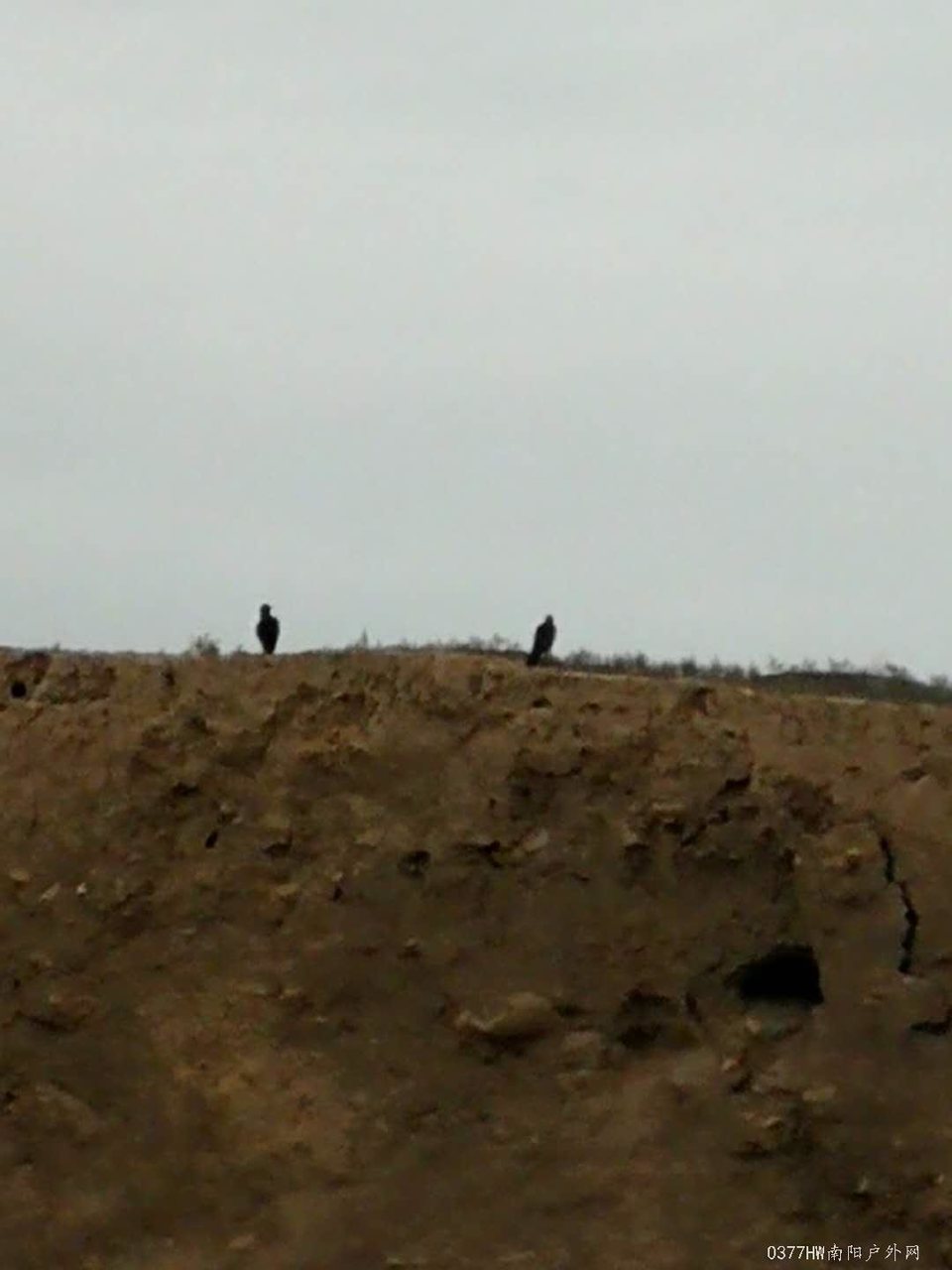 XhrlW9FWWQ23had2rLAqYckjtJqMFFD_-xnY1KvUkojVh7tFooFsE65luvCz2UK9