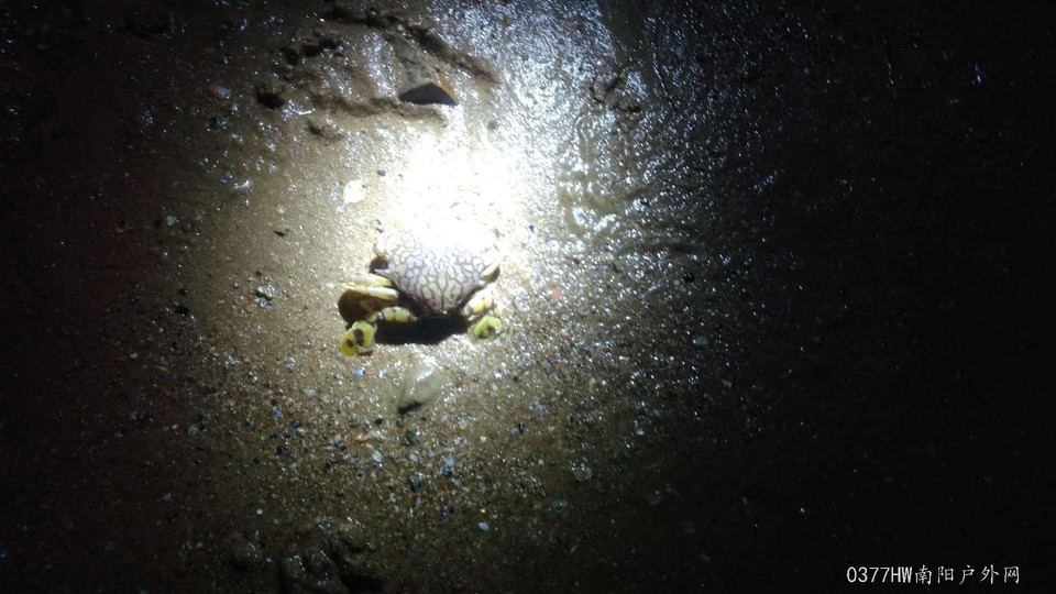 NAvwqUK_o2qcqLmcbsMN8TeApjyjuynjT1jpjDK-2nz8cXlOpxMqd0QgaC7UlYRF