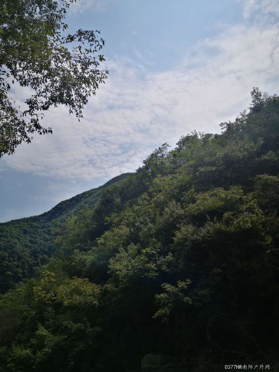 p4J83xX7l3qsPPREEzDJNaYa4w__vgazYe66SeQzK1b-5UEg35NmXxN-lzdrEBve