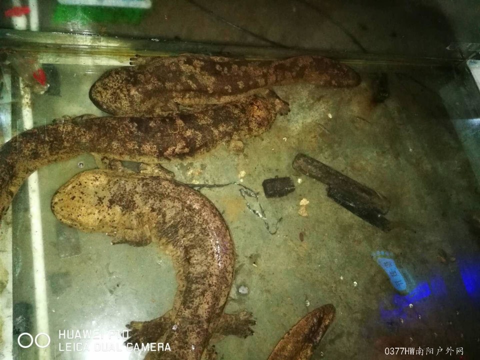 2FiQKw6hl-FKrsT7ORTc1Y4Bws0cN1BwVy4tqX2gaLFQ9CO7C2bnp35YUp25ra06