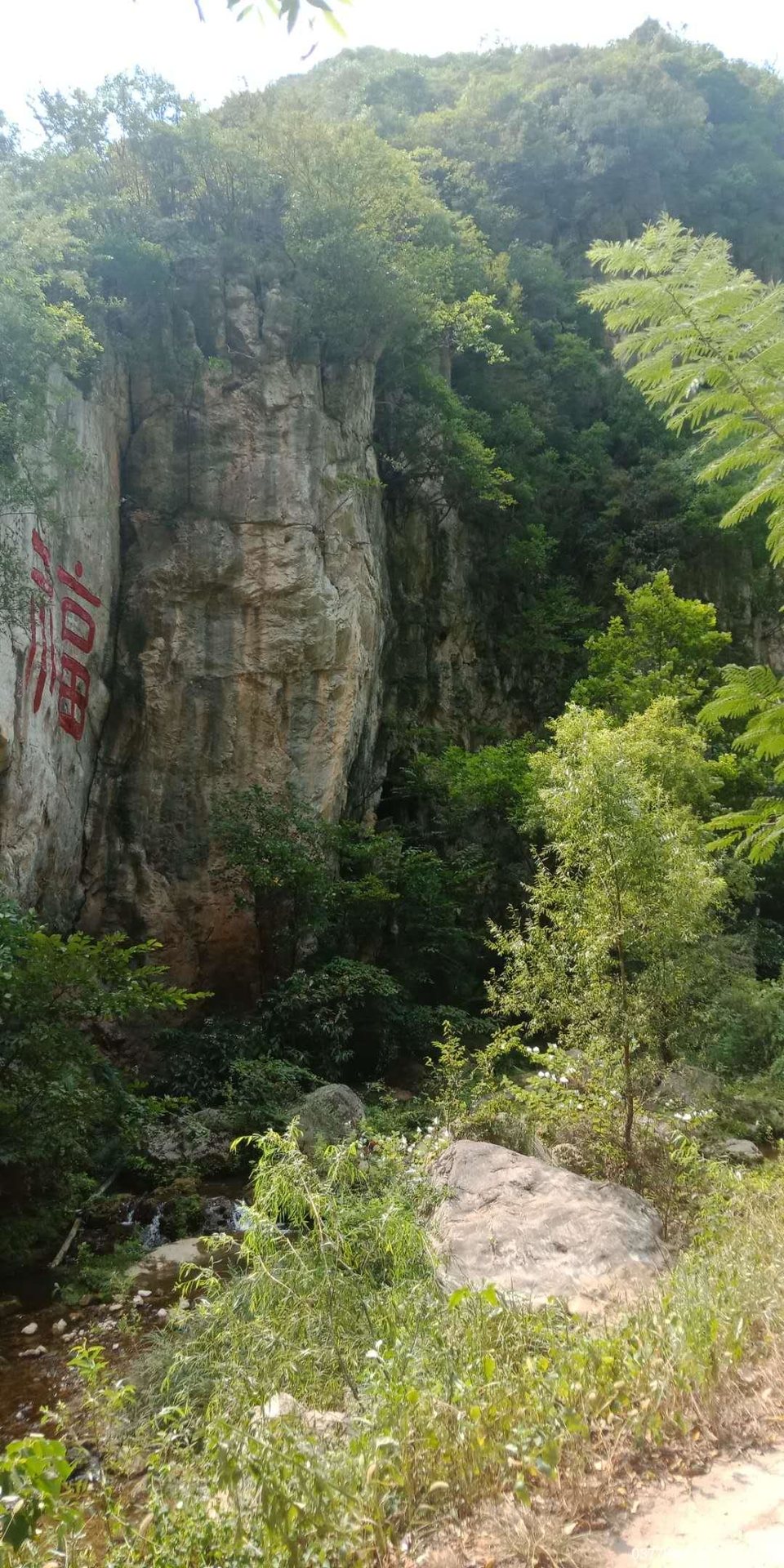 P_pedzwxhyatFHhvdZOlYlhFDgaYDlFIPgTJRwO5gph0OdlXpG0HTj6VBe3i2c_-