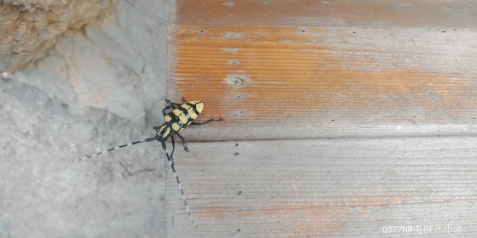 pGdfHqD52yhUgHh6UVBEw93Gump-_cS1jOpuCkjWhpCjNqHkyRhU29Gr3y5zdjYT