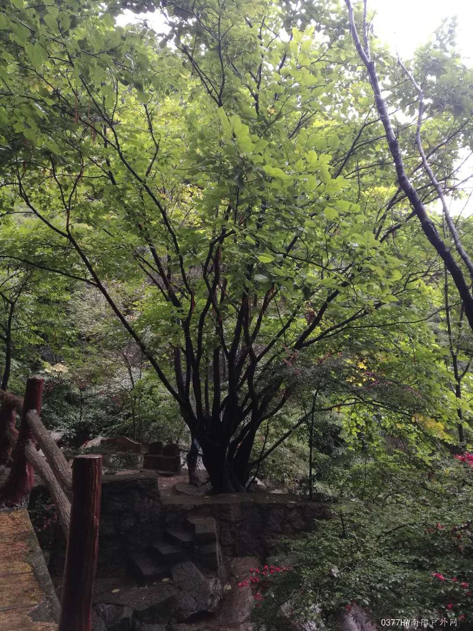 JSW-8Pjw8BLcaM_8PKbTKN5uVjQBIUIdzrqoWwUuiKvKHF1j9WwvceV4K4XdPTRp