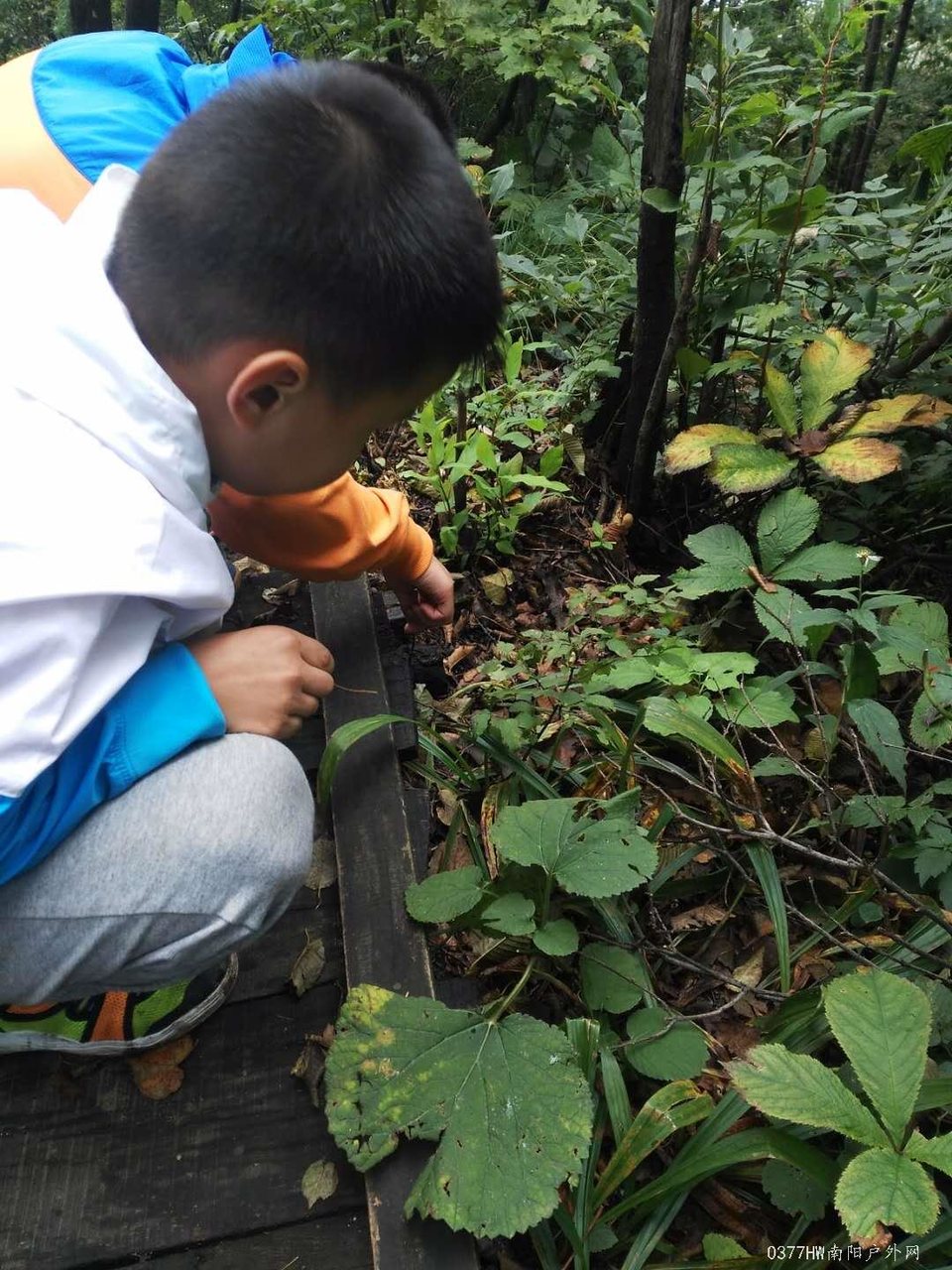 UkhxectX94skT0DxqYUNGKLsbVIgcBcG7BaZuUDrkLVnqFnrIsHc8qbwy3k6nkJ9