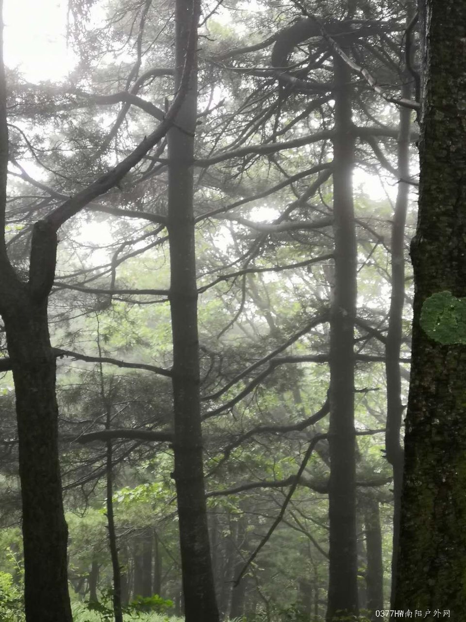 TVTI4V_f1H6ehw0M00V1QkNMC6wrJqYswpXYGdmYOoeLD43Oiqw5kGpE9lpgBnOC