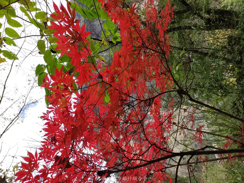 HA3s9wysJhnkHCEoVNN6o5F87_aFx0YZldrgkQYYate2dHgcAACFZljZdU9B_PAH