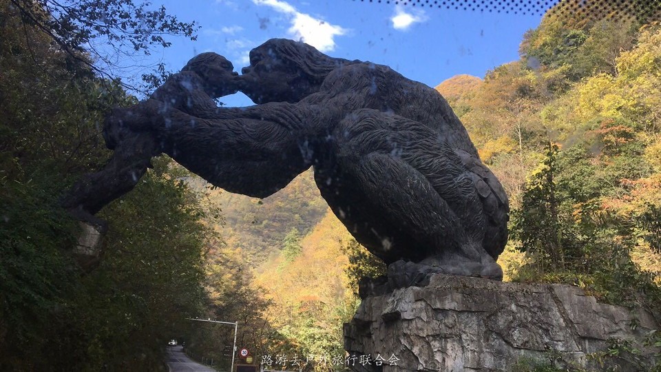 SwpqnY7H8oWay38q_jd3SUSxADwNxKutWVs21DadBXzlCWBb0_NlU5pbo4_ByhSW