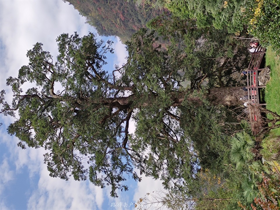 xWSJbfQMnwLU3OhUIkPF-ddbf2ylVdaM2nBzcH-cS-6iQw7bLl-YNHOeH_tVddZz