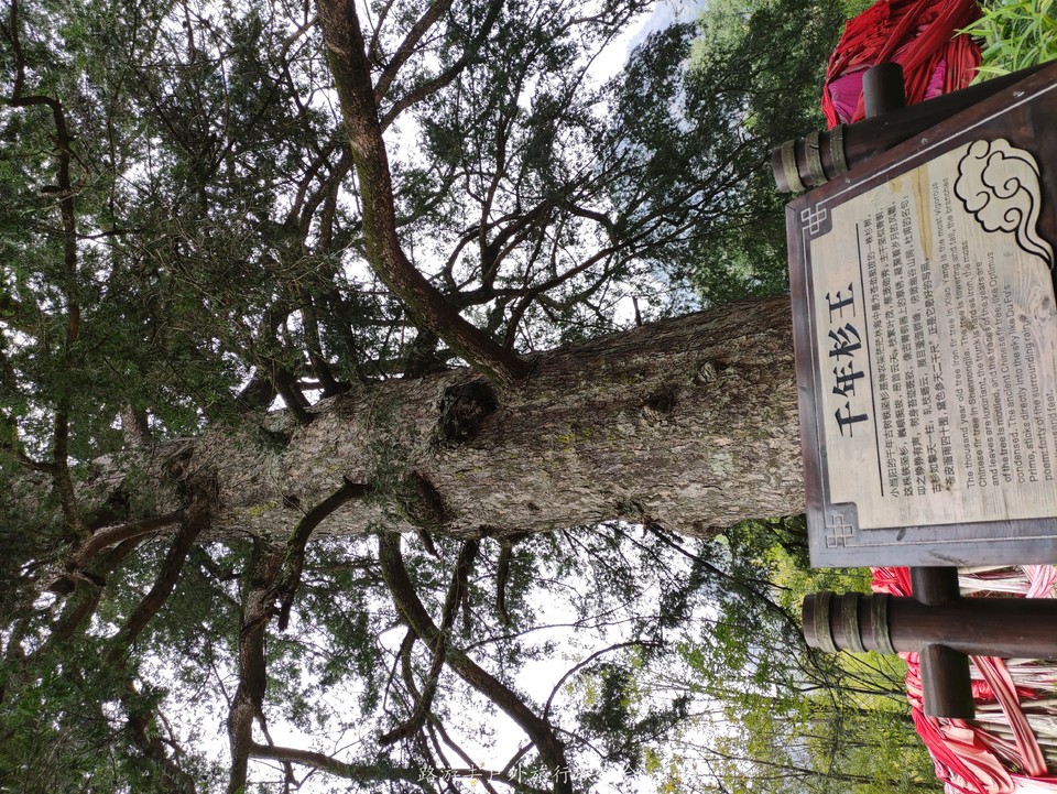 H1LdO0_zTkg3_5v9X2gEqo6_XlTO-xAeSu6aYsyuRoxpdA7PedNEKduHHpN3O-Q4