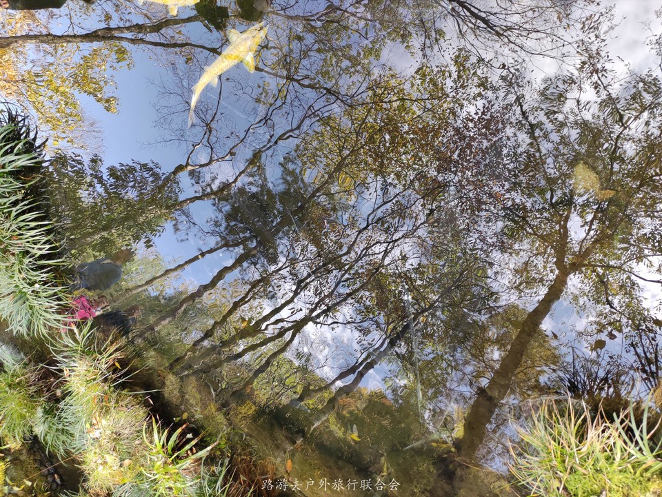 1TU_xHY6M7uBmrWip72YjqHyDu9iKS3UovRtH21sB8MtpmkSt5YOLt7CrxzllZg_