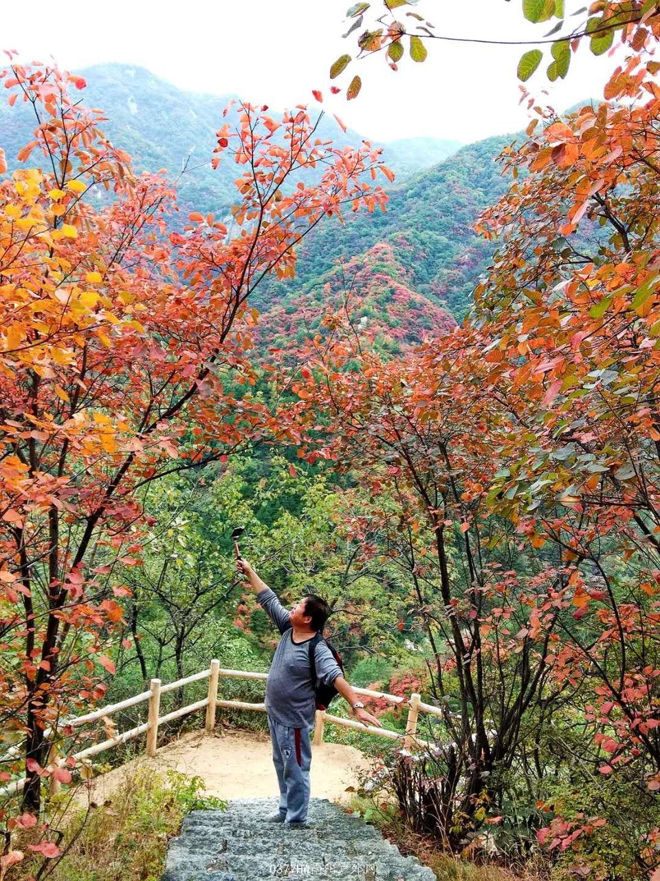 oC81cfvtXhuuy8yDCmTdzzfpaidkh_Y9qNhrdzxU799noogiIE5FjjCK7Xp7ZyX3