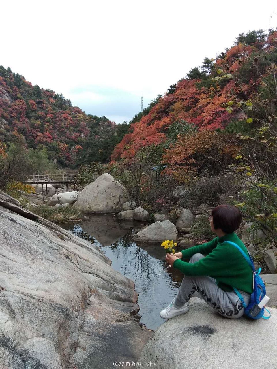 A_pQwNUCoK0cHY_AHmmSKiwiRjeM1MFt6pEpSfZN5w5W0CuI2mzhT69uI31yArQf