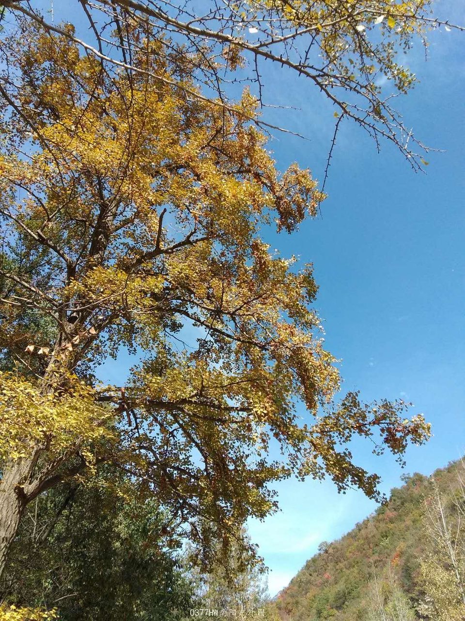 qAKqS4MfXWrlWT9Wjkd7SroHMQw60TyeQS9ehM1iwBIMF_lJJdMYIH1v4PicaJCS