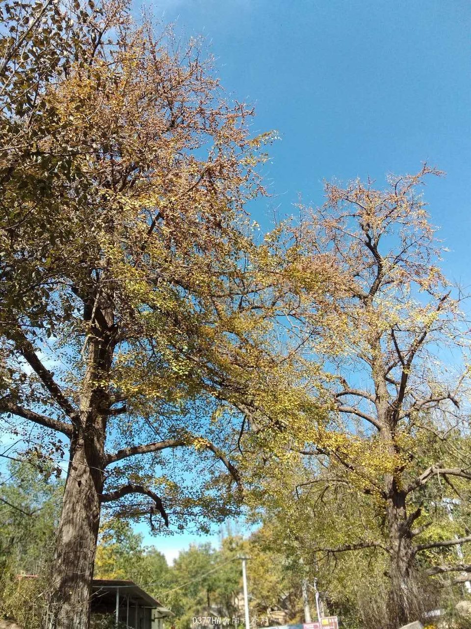 nYyFRMMywAK5xsCLZWjZ2hs8pSJiWp0x2BRFysc_TAdjJO3gcu9zRkCAu_8xa6TN