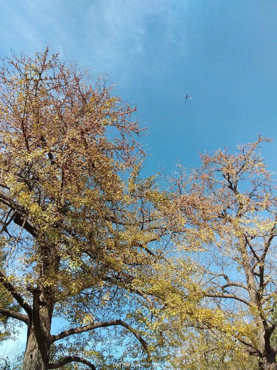 ynRltP8uQDz22gu_rBUoFTY-iP4t3Wy0PPSjkTyy69puPChdUmsmsgu6-hhh8i-o