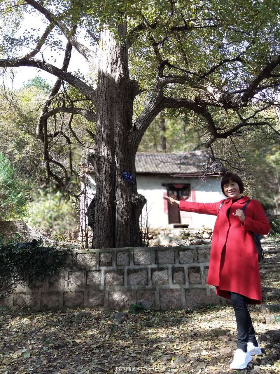 wuRJ62TxSLDICYd24JnbtHJ9KH9MWMjEViRzfoXd7jvNqfo_o_DtJApv4osueELB