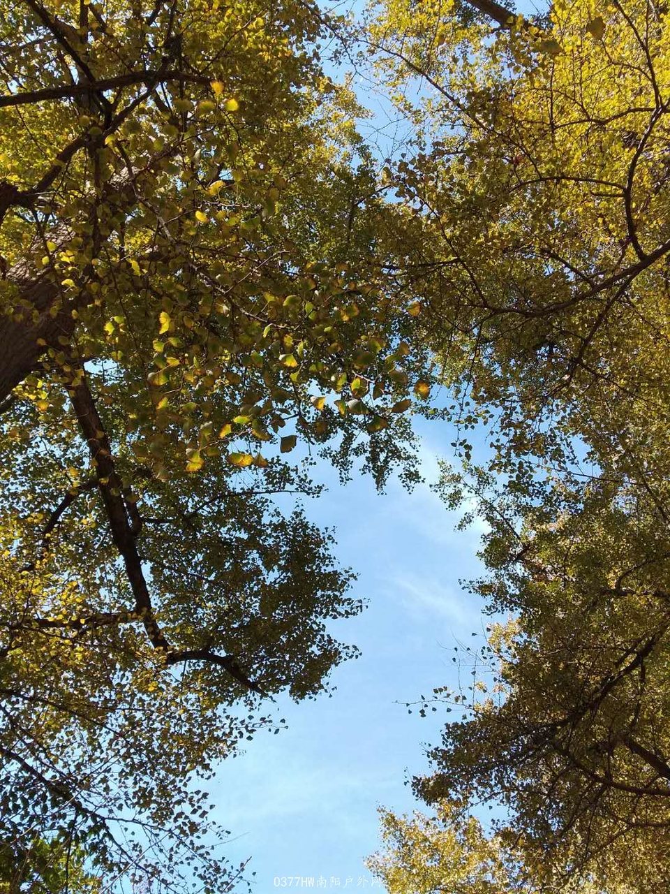 pyfKWiqk2msUOMYmwL6acjvqfiowgCsC5Exni8qoM3jzHbRRm93wDabSJI9Gbcfu