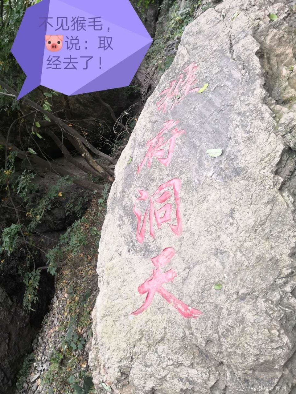 iZoeRBDBy04JpDCPmDGuLjgYZHThx3aQqPPtXt-zOMSEqrZFbiIey9um2IU6vC9X