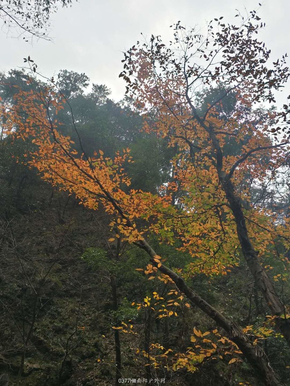 ccWPm0d4nEoyqS01np-s0Biug7M1MxGBvBhJSKEfF7pj5MhwAhmQPPHpv7QpMalK