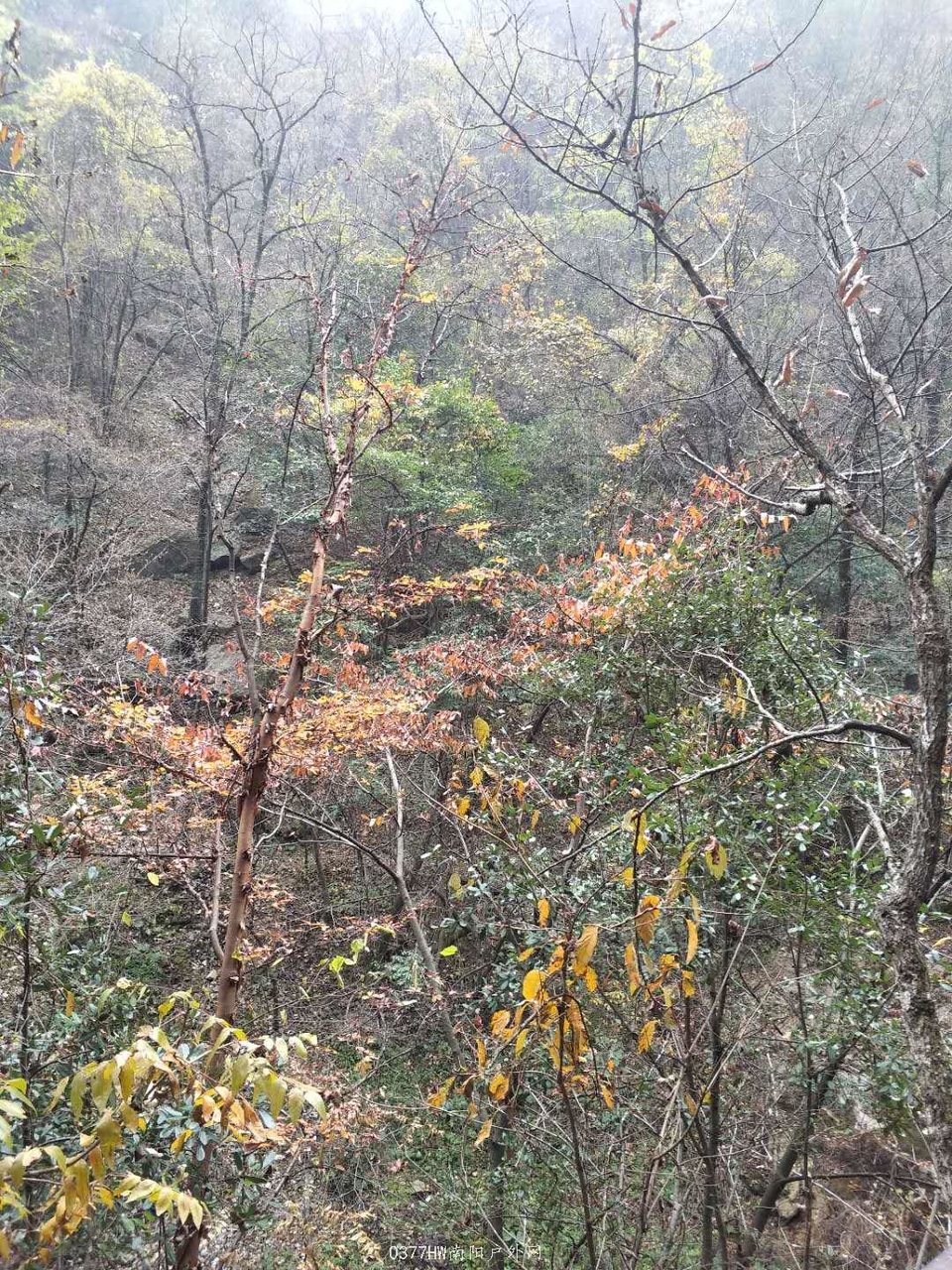 kfgPF2-DoG_alOeeZmb86Mu0UMLoyzkgCm6FCI8_EzVqST0vUP5QDDv0abi3W39p