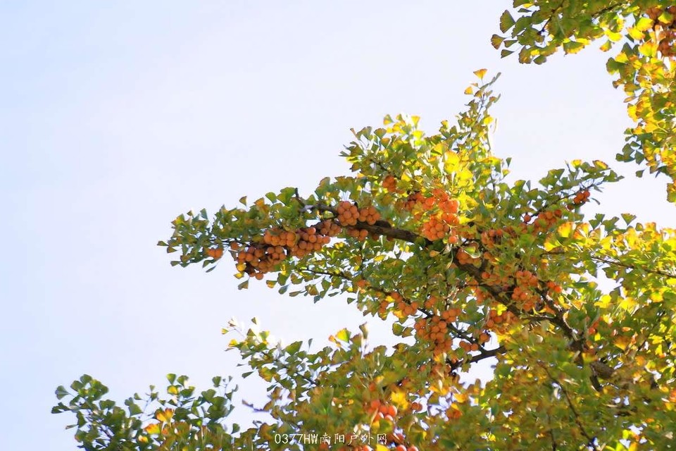 dcACPsvRHBi3J4ypodlM-M4-xhnYdeogLxOryUgTDUQsrf_4uIfJjiUU-NOZi8FM