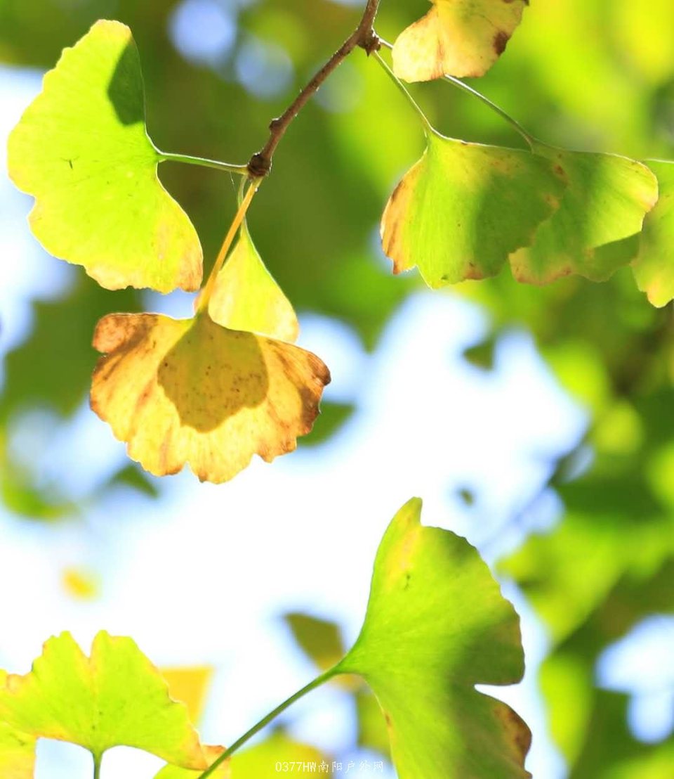 pWLxOyOxBHc8wFU_ZnwYnHuTKaYAxPfcWk3j2Z_7iqQ97CDiam3kdK-9q-Bqvnu-