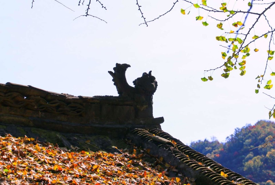 yL7BqmG8x5FDnUex30p86YHcCvYWXz33I_G2AWBaej9EAh97azVnE-oLATwb3f0-