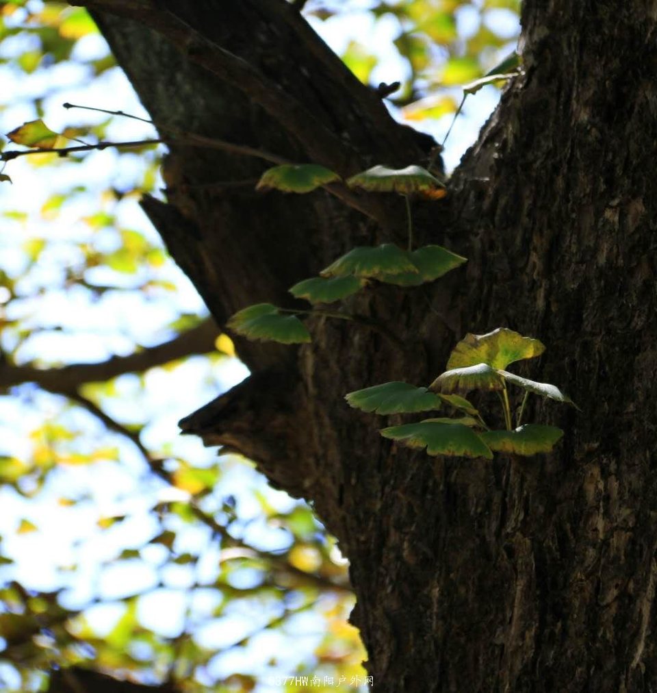 nZgFMeofMTs82UO5bYXDPSfmiDa3PRgAh1pOgYWPQ2x758L2Fb95c6wchlWQgNjg