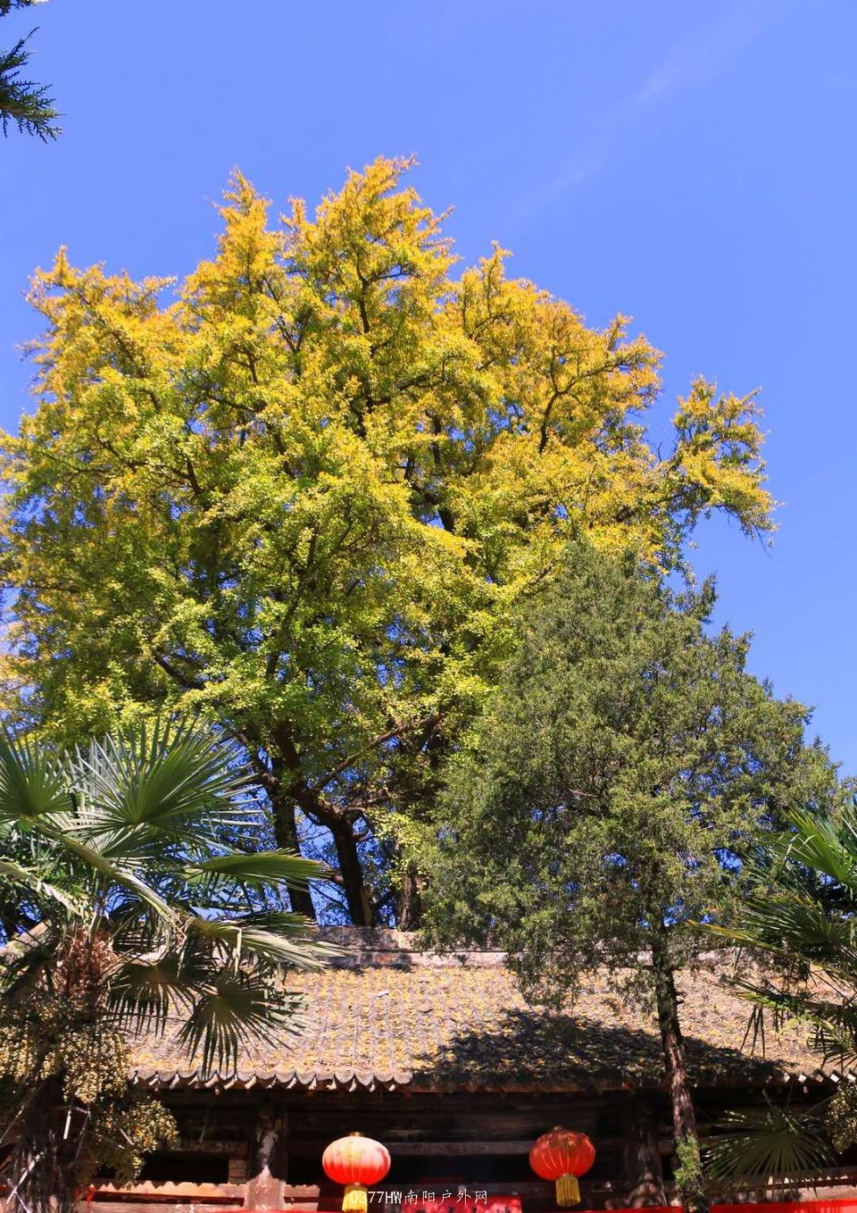 i5h6sG_hV0O4Ak-VRXIy0My_oLSGEymFFH27ZTjvQiTONhcV-VRD2UZDcl_Tk3Rx