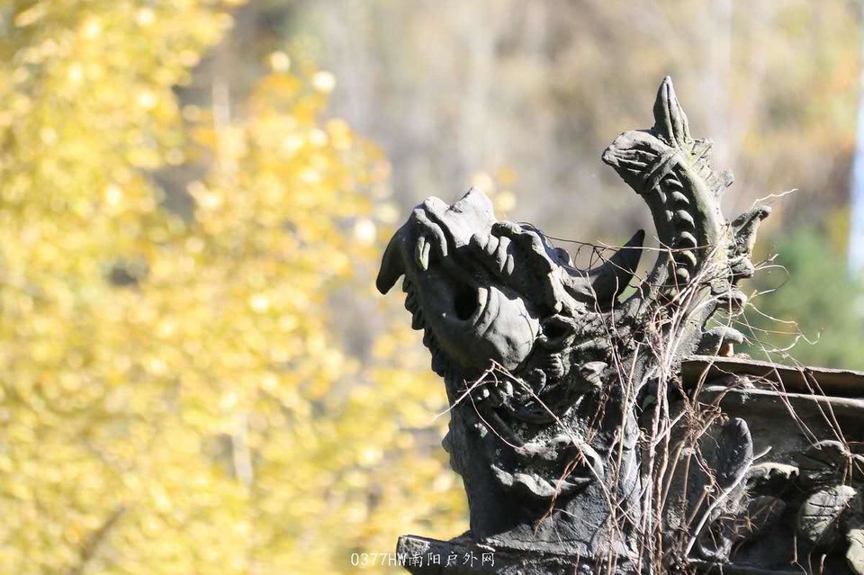 MIoUYCJD2FS9_2o9JJZl12V1qHYupa4wtLziY8NBR58u-Kh1g-0uNWzKHZrKaPMq