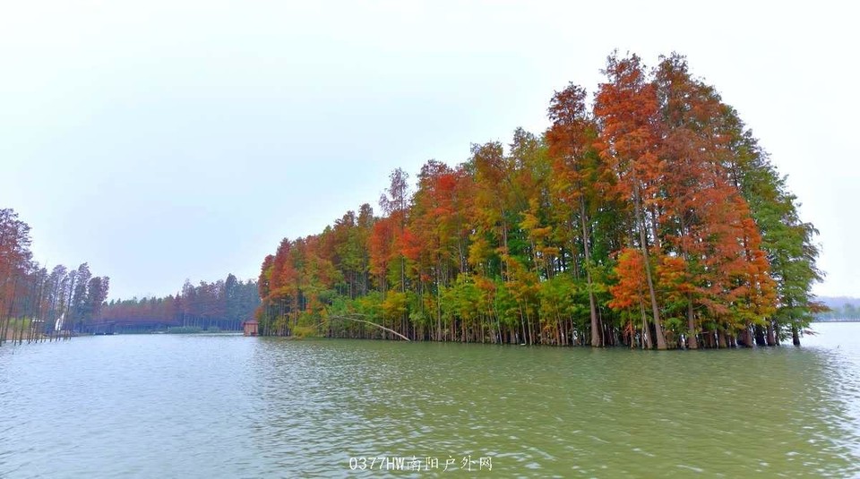 UgxIC3MxLwfhqHyzQyUjRDNMn-x3VYbxQWoeQ-z0Fk1iNIVvRbUPkddA8S0qavwE