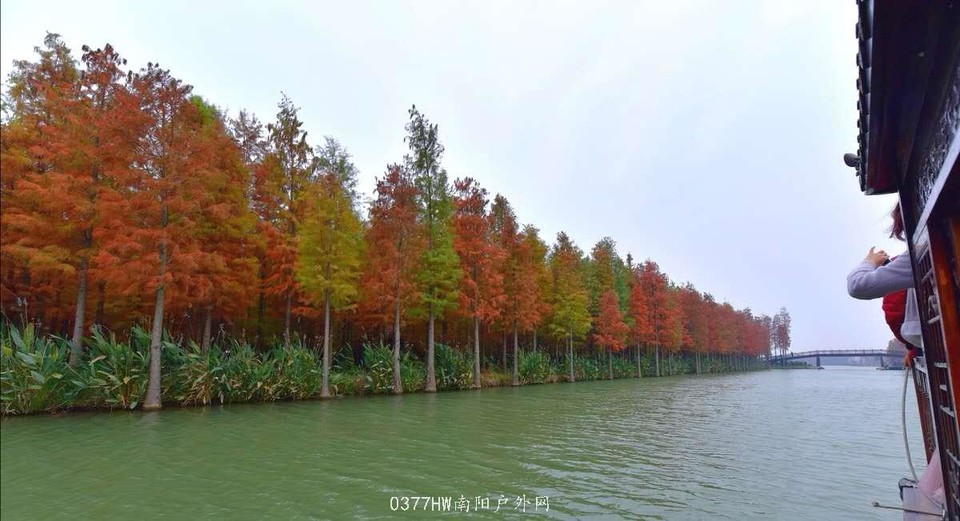 zygBKZCD_1WYWKkRXmwWmky0KV4KbEcle0mBhrwFNQ86lGJNpZ6nIMjjyQVKS2J1