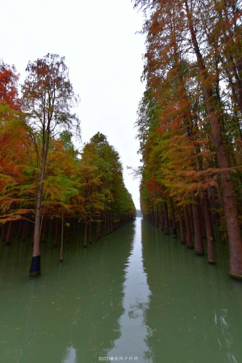 8a-Yw4Fj2kTxLGN_vJqVR1PCZOYPK87z12CfZZoSPhvciWj9Rr_gPLIfXe_T2U1P