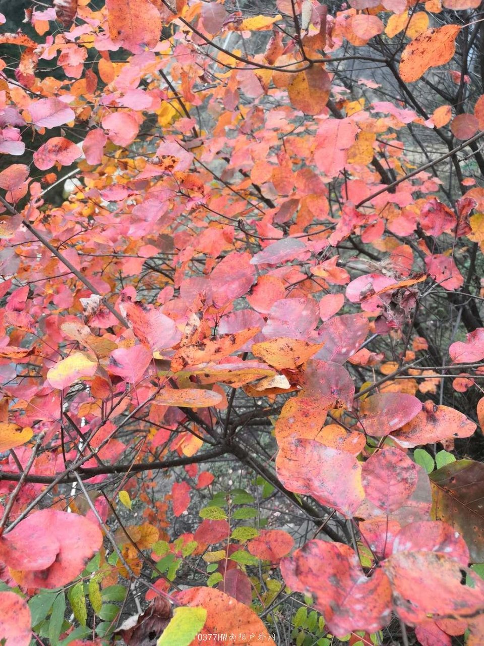 1WNOYheuAr1OQ6hu2xirfO4qZJV8hMZRcW2q9uAasH0DCn_4b7bcdSJfm9-oUBSU