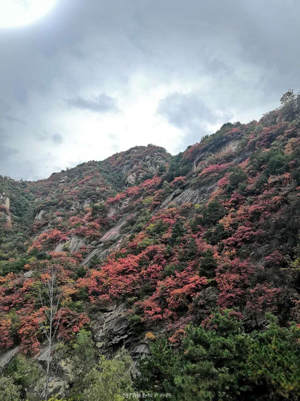 pg06tZSRI9I7Yx6w257_vtZIr22Qj6pOFC-vhkXQGHpit5W-tvNTNkQo9VcK5KgN