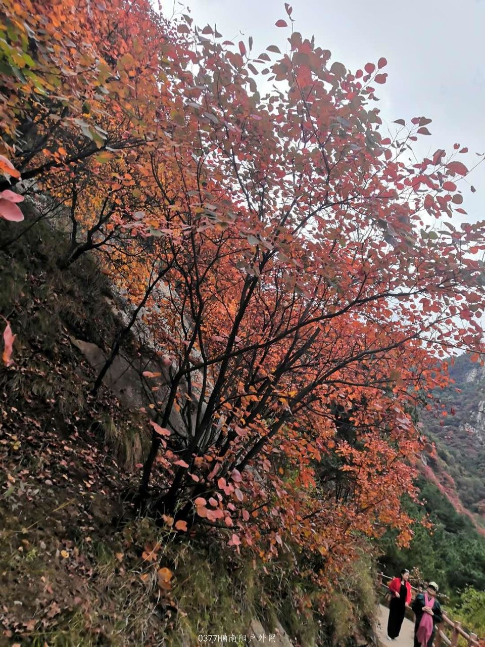 A2GBGIA9H5tMEn4W3fahe0oCgyvJn2qaU_z0q1nCMB0suGCw1ybYwLSJHG7NZ0qi