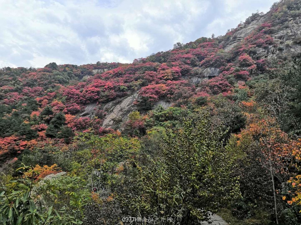 hELKH9oeVsu9OVz8YrHKjigzRPjidGbBMZ_ImHJ-2hLREVKkrZdKV6W4e63msJbx