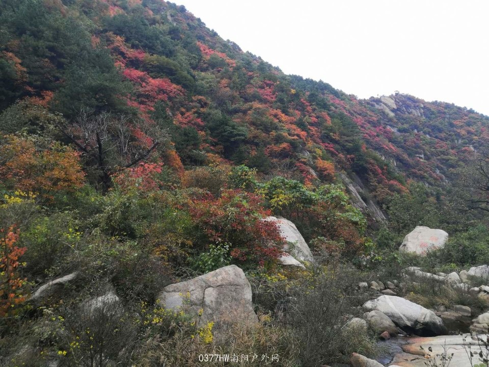 hjFB-ZxiMT7Cr3iOS0lPQlXs8oZTcTcvQwMT_2SpKfjaE6t7_L9_iCEX45Li43cu