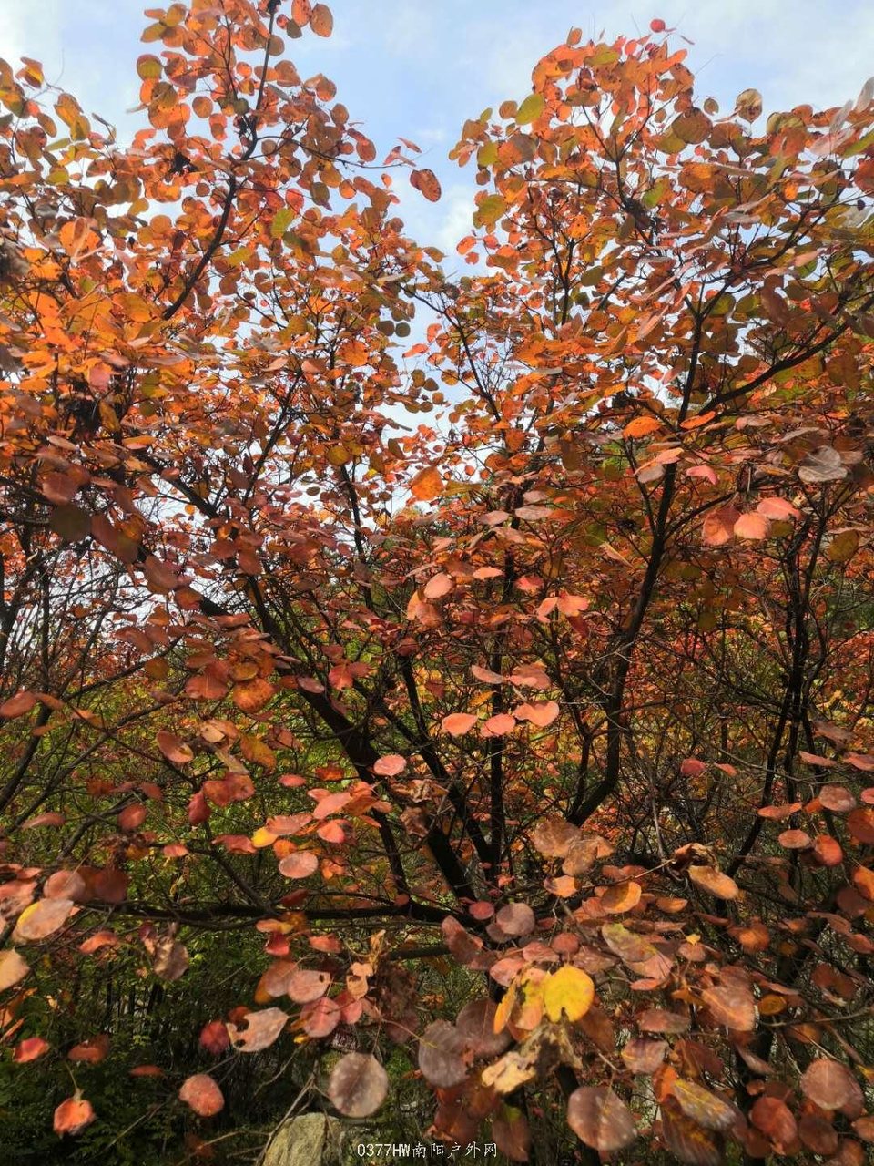 50vRmH5m4ycXpSkIp5qWRnWfTWL1v1ZitMq81uXd_WS-_wUxU8ARh67MvOJrThiN