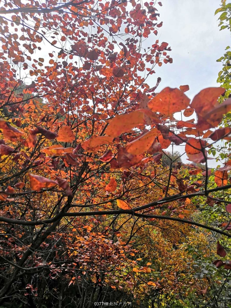 rrJSeZZvlq-HxSccFP6zu6WKg_gDzy_7cQKzE4U0c7LtxsVkuAhZpQ1iRmlwkFVa