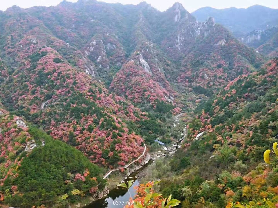 Lqt7cwNckFA-B4ZPU1upx5xVCjLm_fBlGiIrBksgTJRmGdrk_FnY5z0ML9fJRhgW