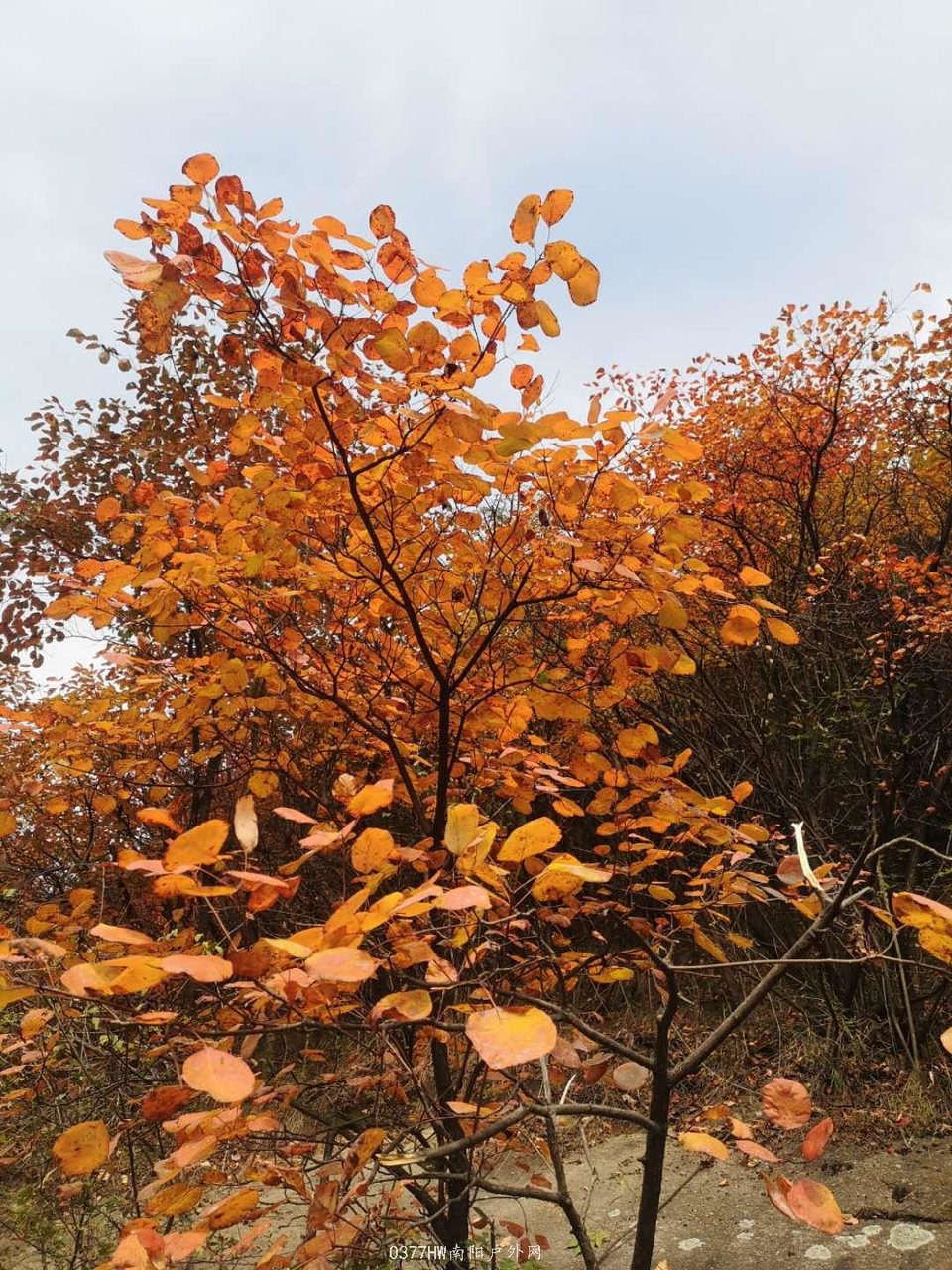 JSW-8Pjw8BLcaM_8PKbTKBxUyDOsTN_MfCOWQ28MiTm0SWbHLO1CWs0M5FZ1iaw-