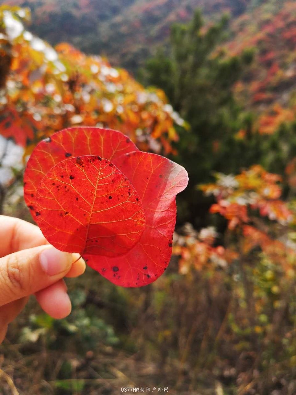 VTbHmS61Qkcc_jPGsHA7_Wl-GiZbgY6pAK3cGTt5obOI9W3wX7InKVbubunuvjb8