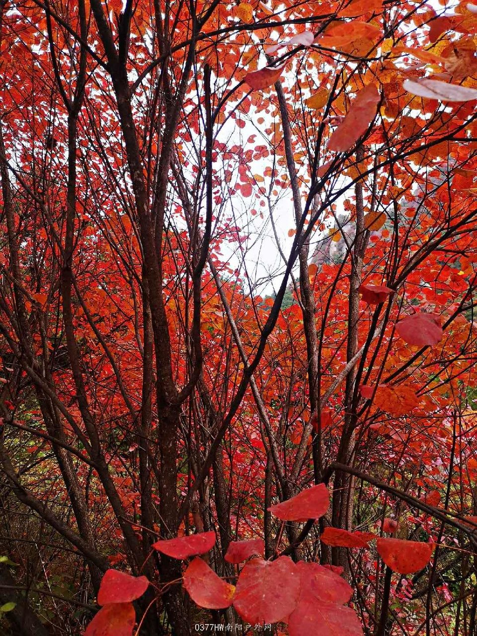 j5Wo9-Ern8r5i_YrEyW3q702p-3pCGhBx6YdEkQRQaO3H77Z6deZbIuyvExU2ByB