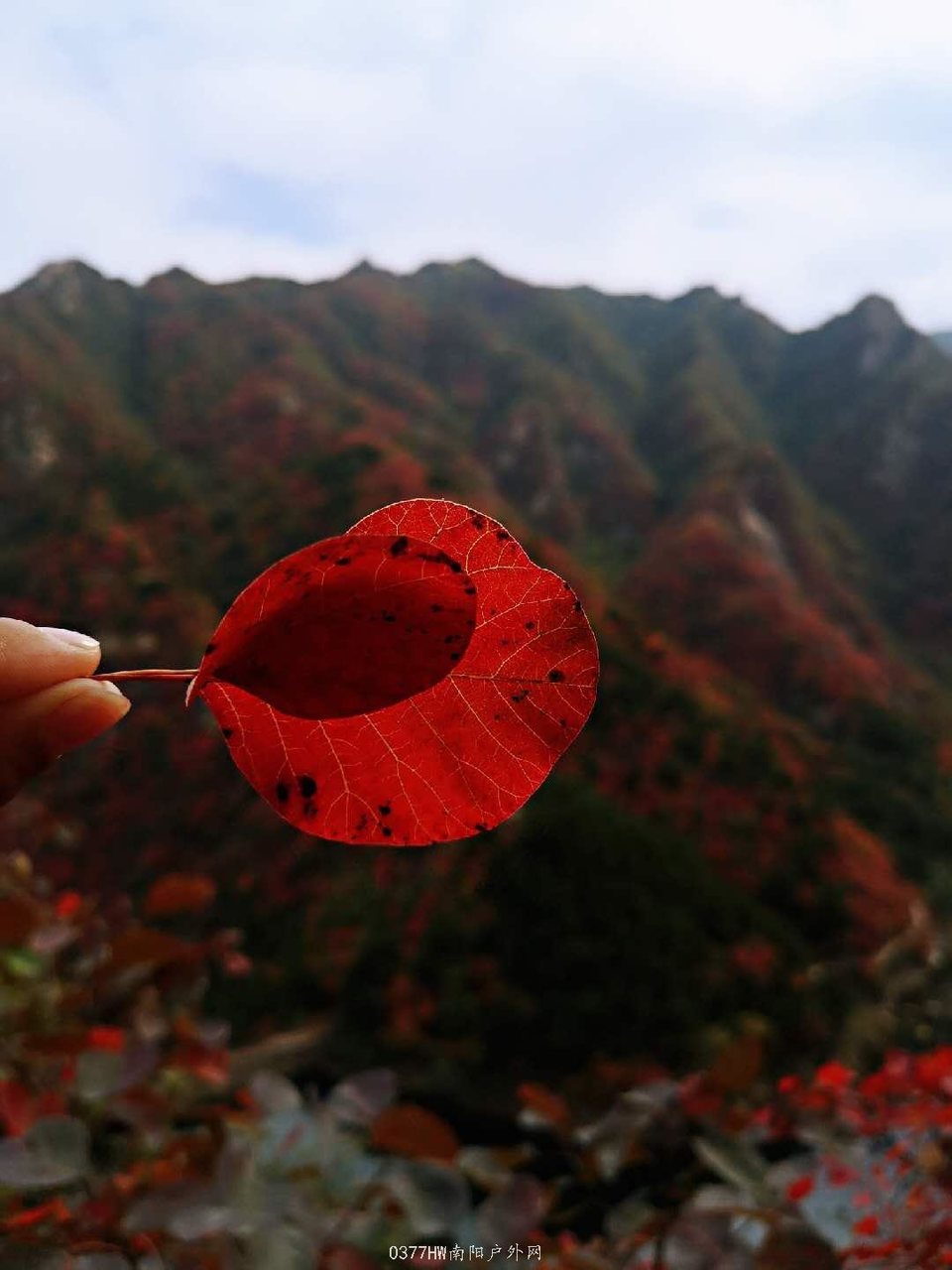 1_jvueutGW6DpQB-ordPhQo_jxazKYTqiNPDdqB1dSW5cF15IiCZQ9xKNhZ2CQe2