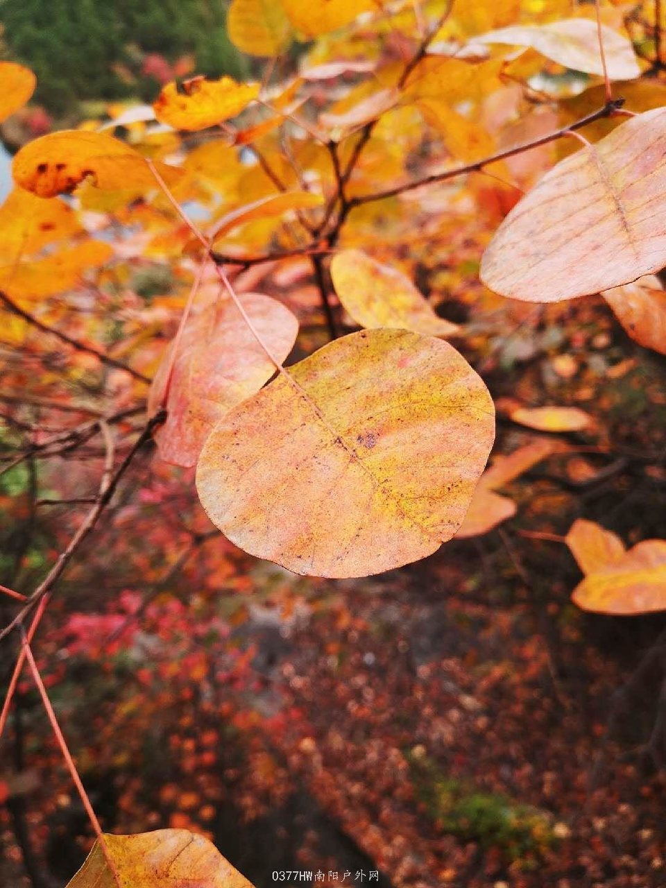 0doroCCT-FdXa41fyT4fNn56rGgPBxwcDUaxFKUoegMvS_UN5erdMR_aIhaYfEIR