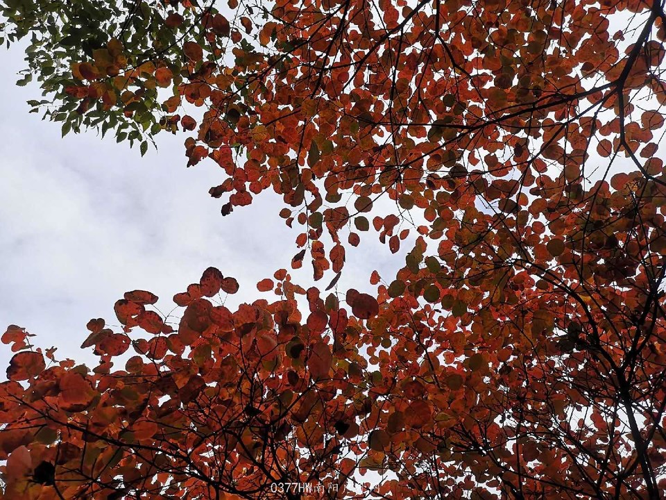 _-EZgt33rmxH6DGHOBQhWyhTTT5s2zV2NXzQq8xpMUclZIXTizG0tKjs3Cwpl3K_