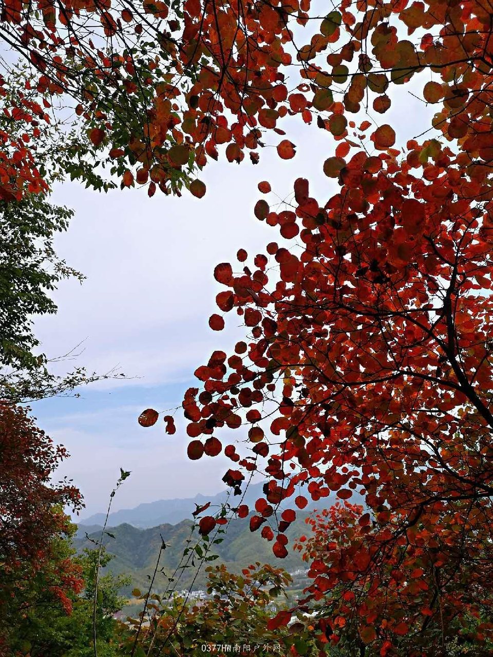 ypZCUaJgdevmWz6z6m6l5bIhsKBB2cVrwL6_ZV_0nfiG-TCgeiRJTcy4jNaq6Vhl