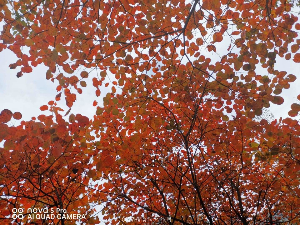 bXi55TRG2DNqQpQnhyjx1RJUqY550MFAAwy22655ANY57lEgMfegdHHEtwNxGTL5