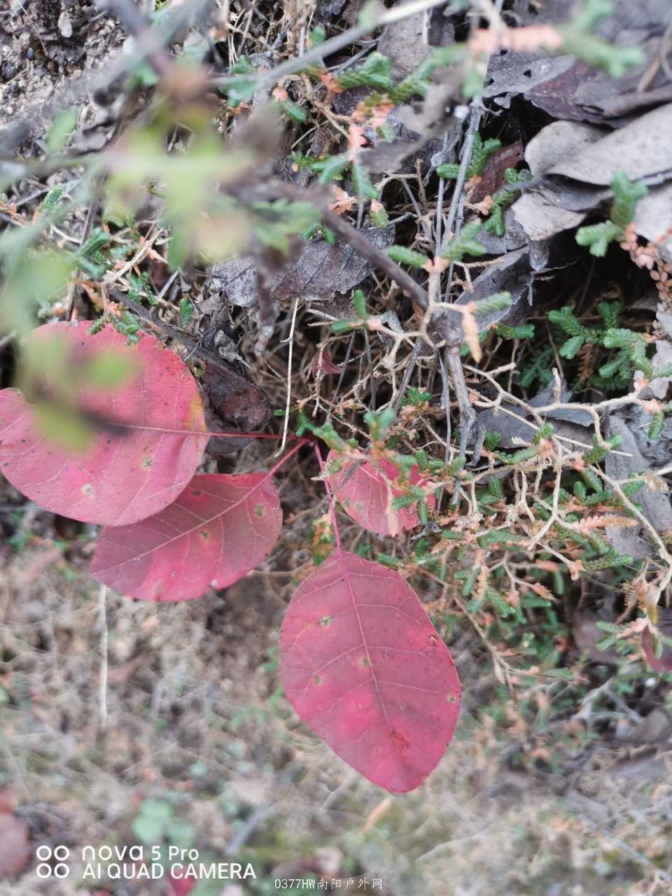 1I7AM_nWk-cWe8mjCTFRz9vT2wz8euNauzfadmzRWUq4eGITZuNv8xcFf2c4PGsy